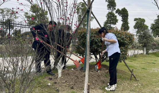 每一份付出，都会有一份回报-记华星智能3.12日植树节